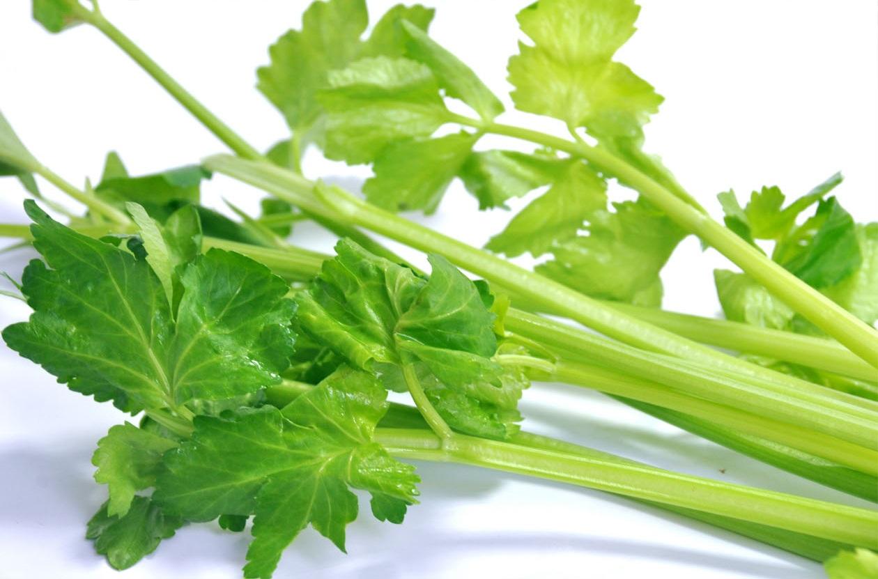 蔬菜是個(gè)寶，這些部位也更好！