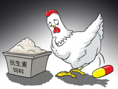 食品抗生素層出不窮，如何檢測？